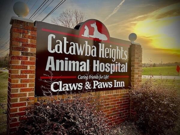 veterinary clinic in Belmont NC