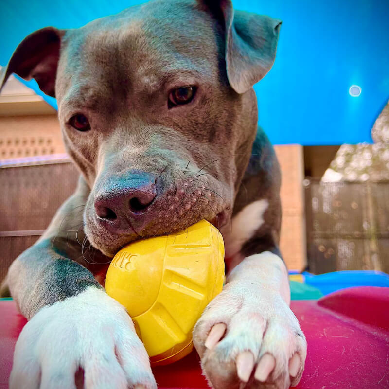 decor image on Catawba Heights Animal Hospital